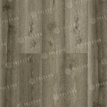 Foresta 1004-1301