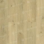 Тихий Лес Modesto 1004-3