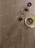 Дуб Ольвия Olbia Oak 560