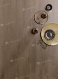 Дуб Ольвия Olbia Oak 560