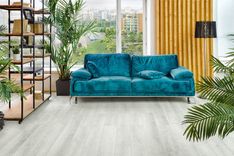 Дейнтри ECO 11-12 MC