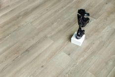 Шварцевальд ECO 11-18 MC