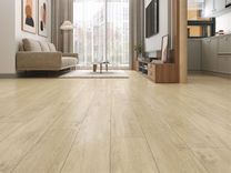 Камфора ECO 11-503 MC