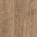 Гевуина ECO 11-702