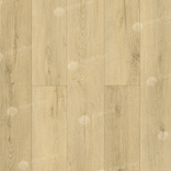 Фореста ECO 21-36