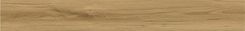 Almond Fusion LF701-07